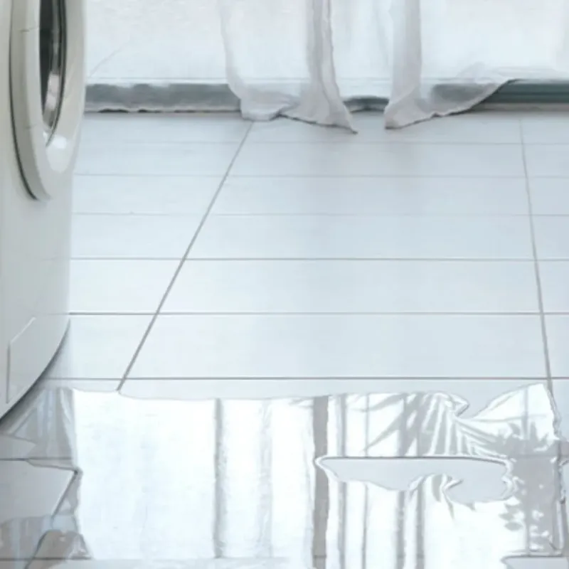 Appliance Leak Cleanup in Pinecrest, FL